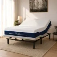 BalanceMediumMotion3
