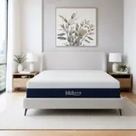 BalancePlush1