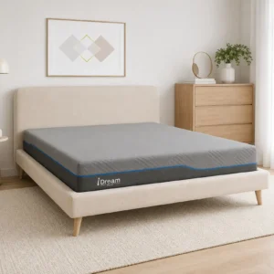 iDreamFlex2